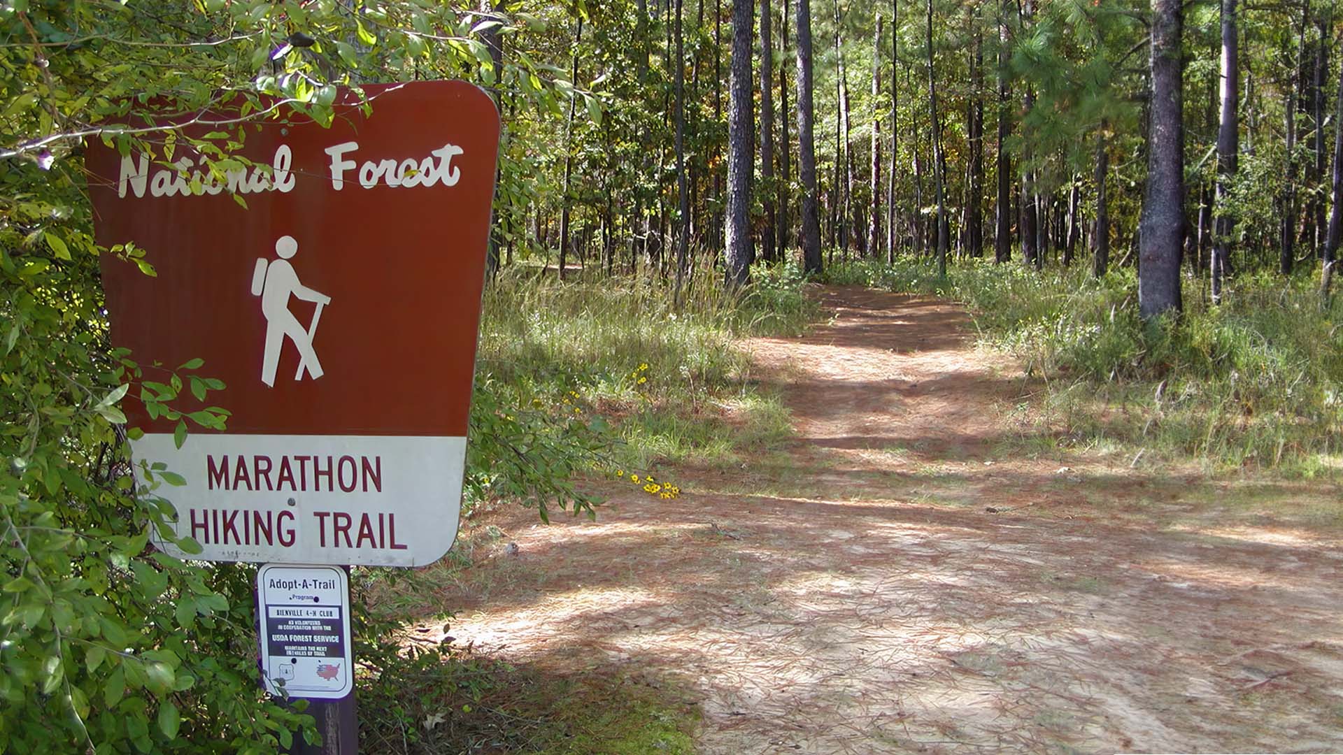 Bienville National Forest Marathon Trail