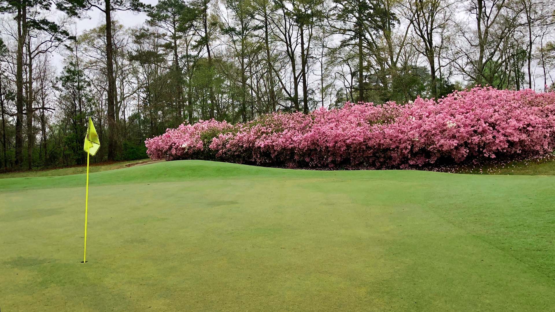 Duncan Park Golf Course