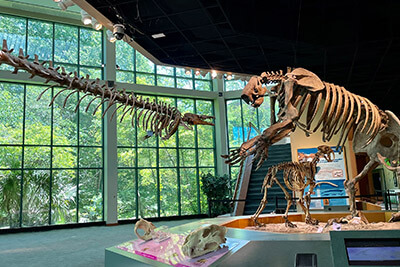 Mississippi Museum of Natural Science Jackson