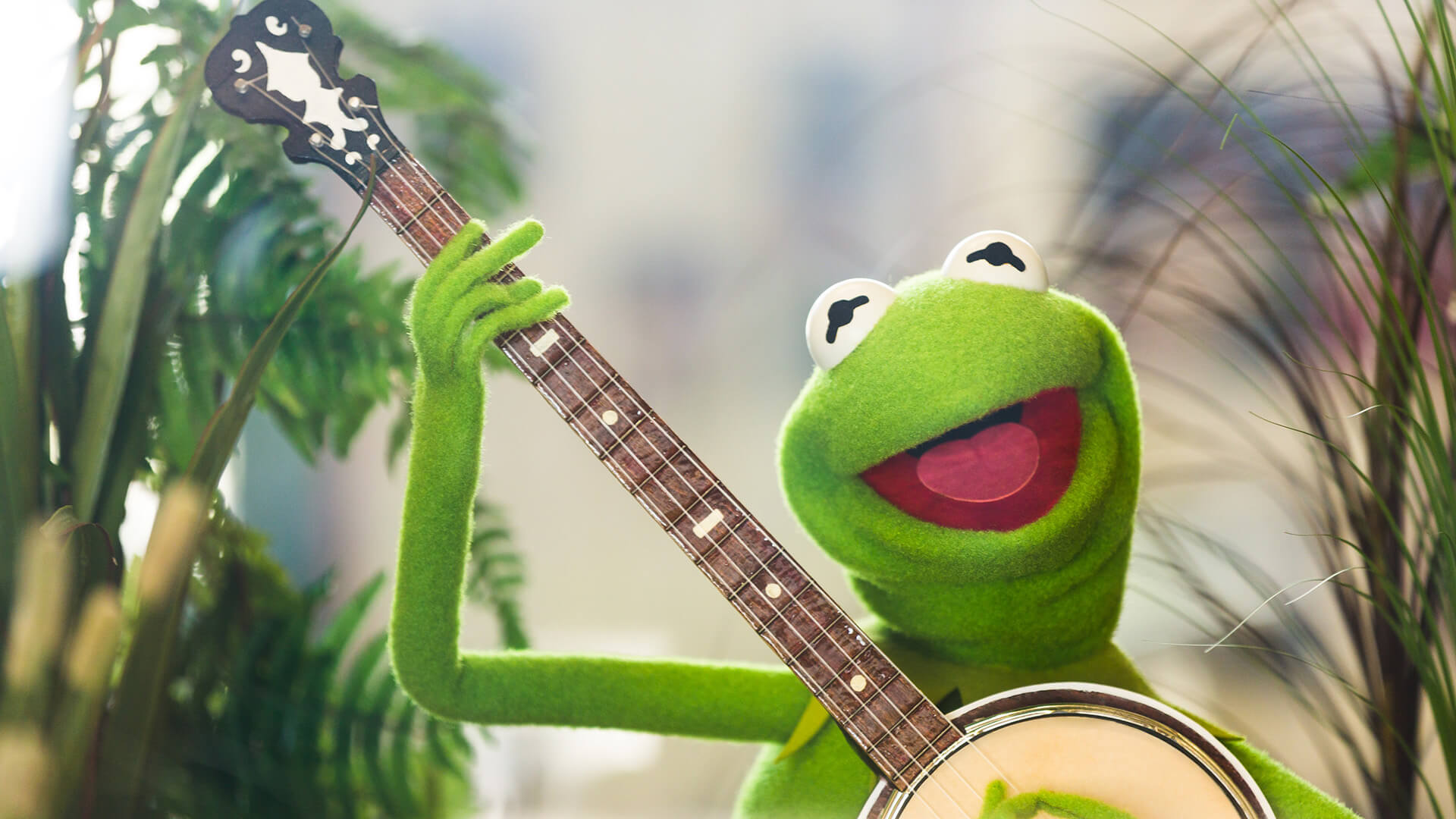 Birthplace of the Frog
