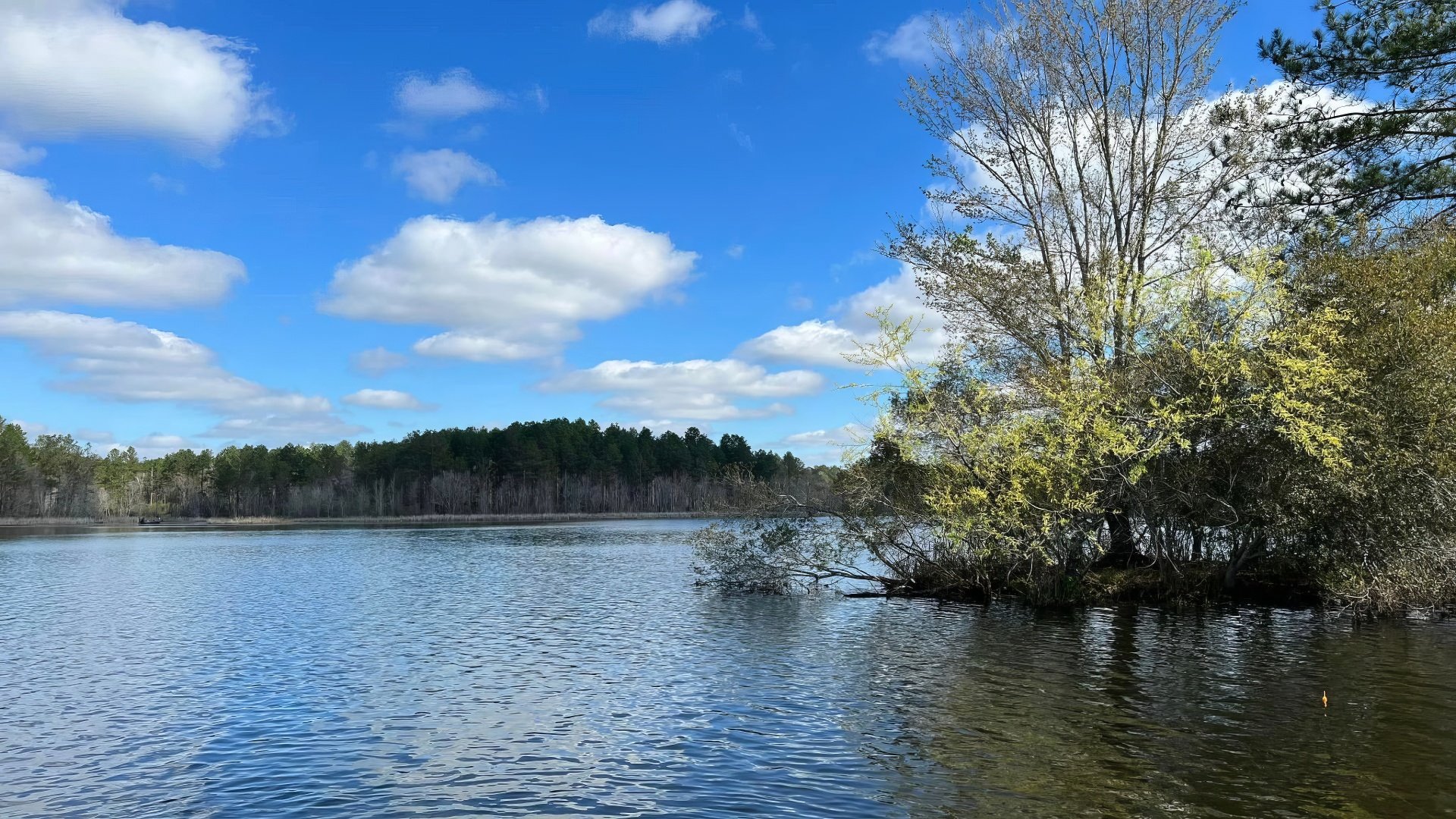 Lake Columbia