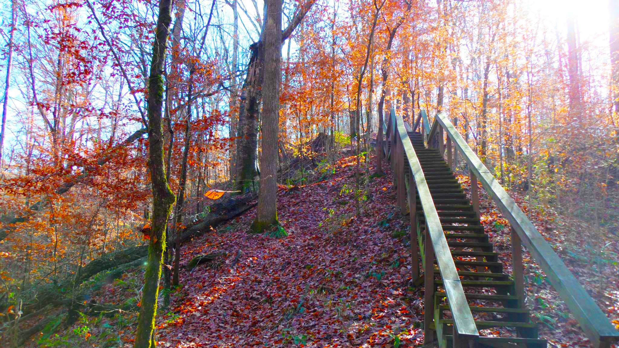 Lost Bluff Hiking Trail