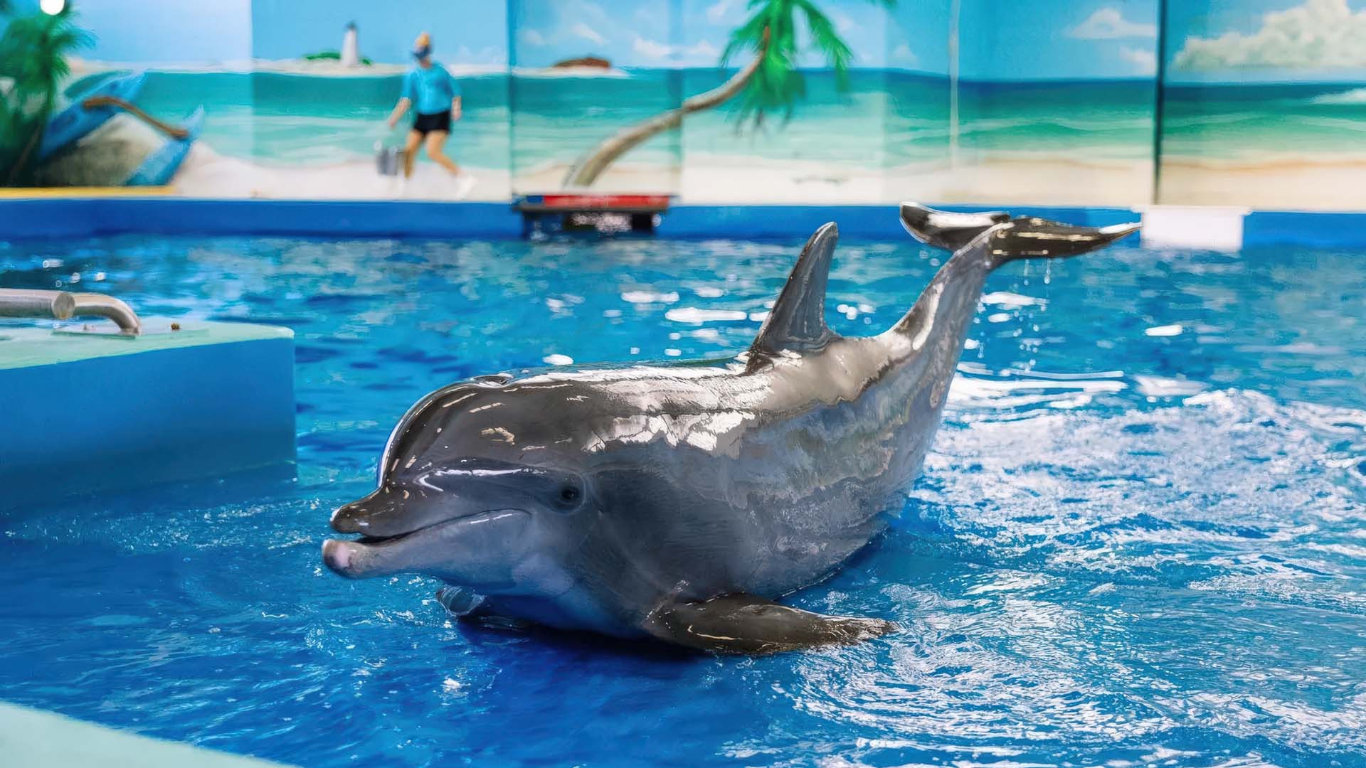 Ocean Adventures