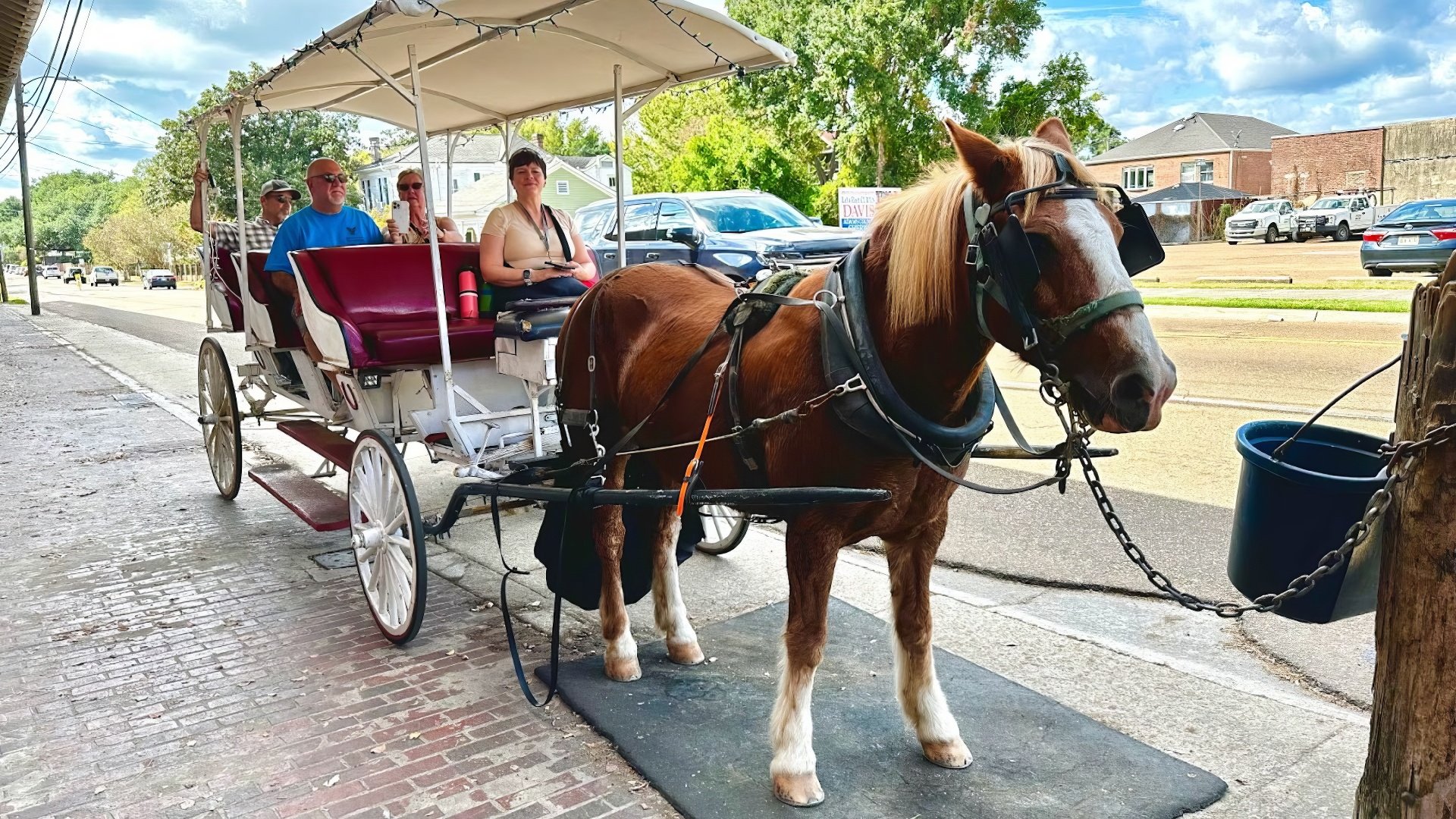 Southern Carriage Tours