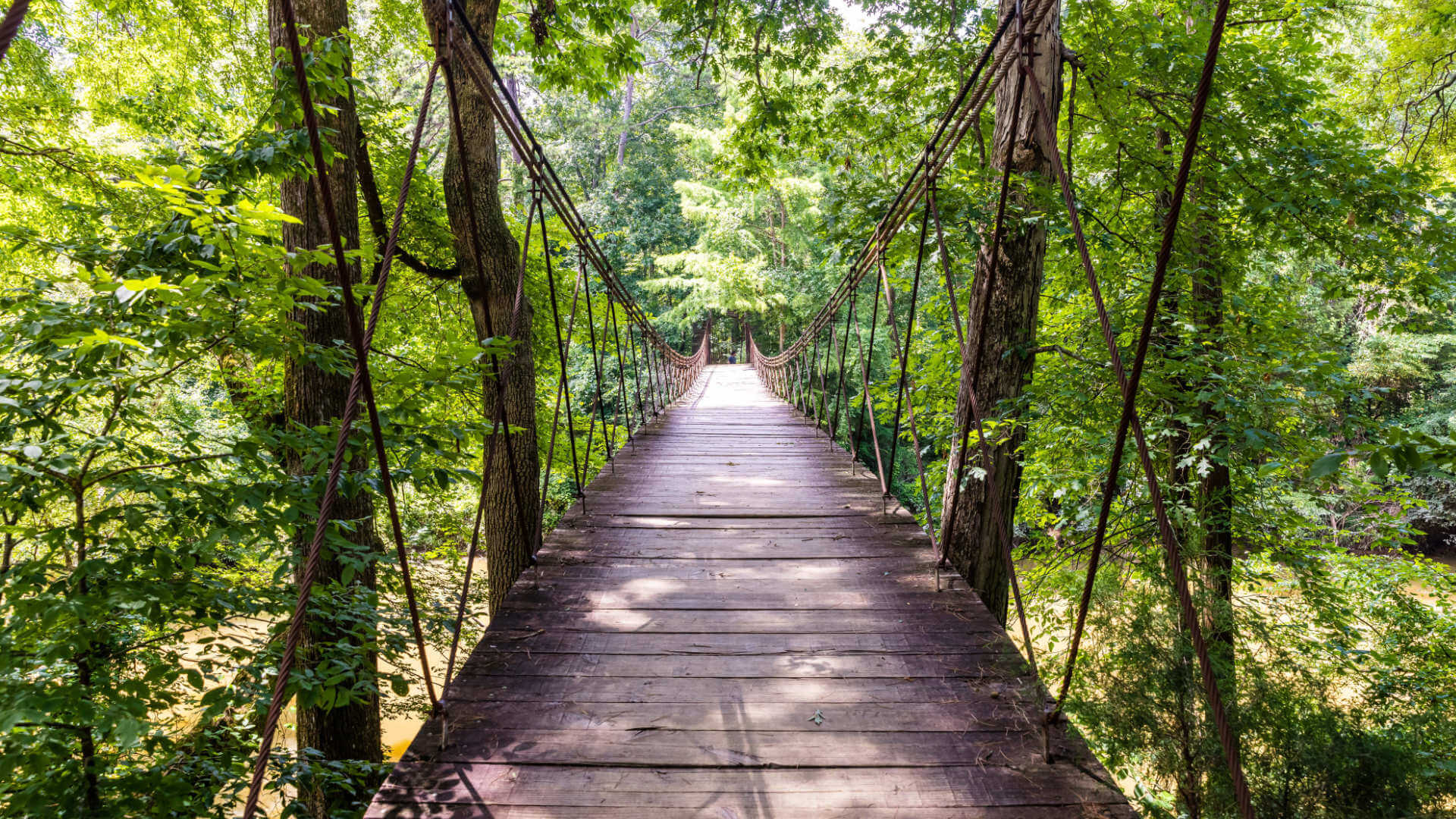 Swinging Bridge at Tishomingo State Park