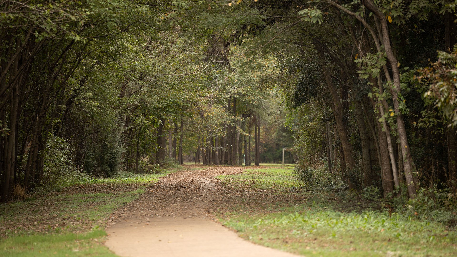 Yazoo River Trail